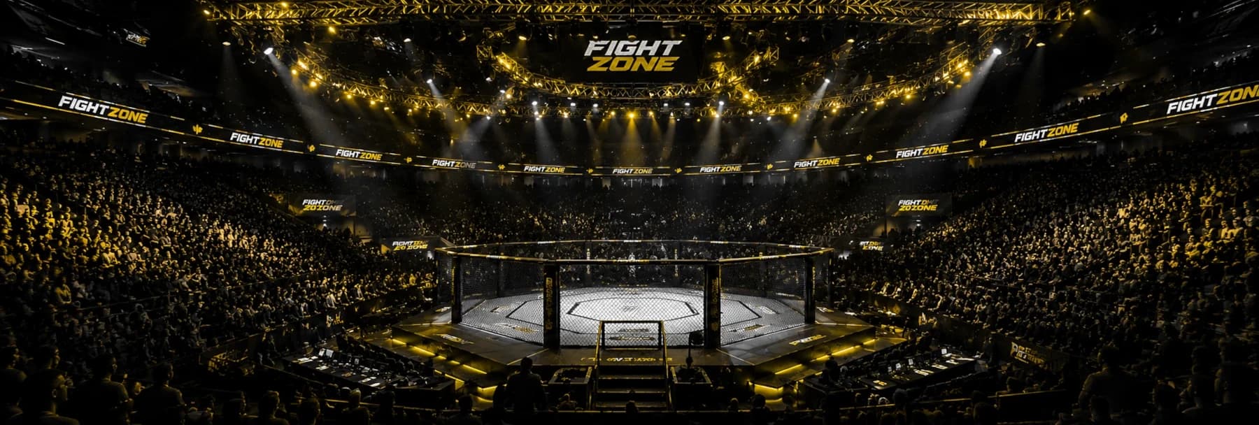 Arène de MMA Fight Zone